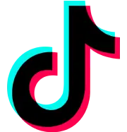 Tik Tok Icon